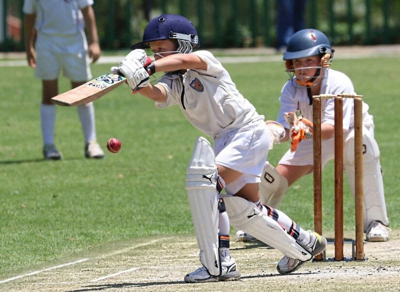 Cricket World Cup: Highlights from an Action-Packed Week