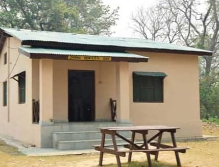 Jhirna Forest Rest House – An Untouched Escape for Wildlife Seekers
